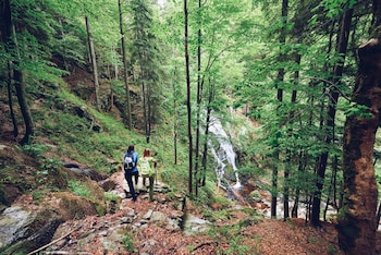pohorje village resort forest hotel videc