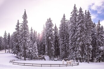 pohorje village resort forest hotel videc