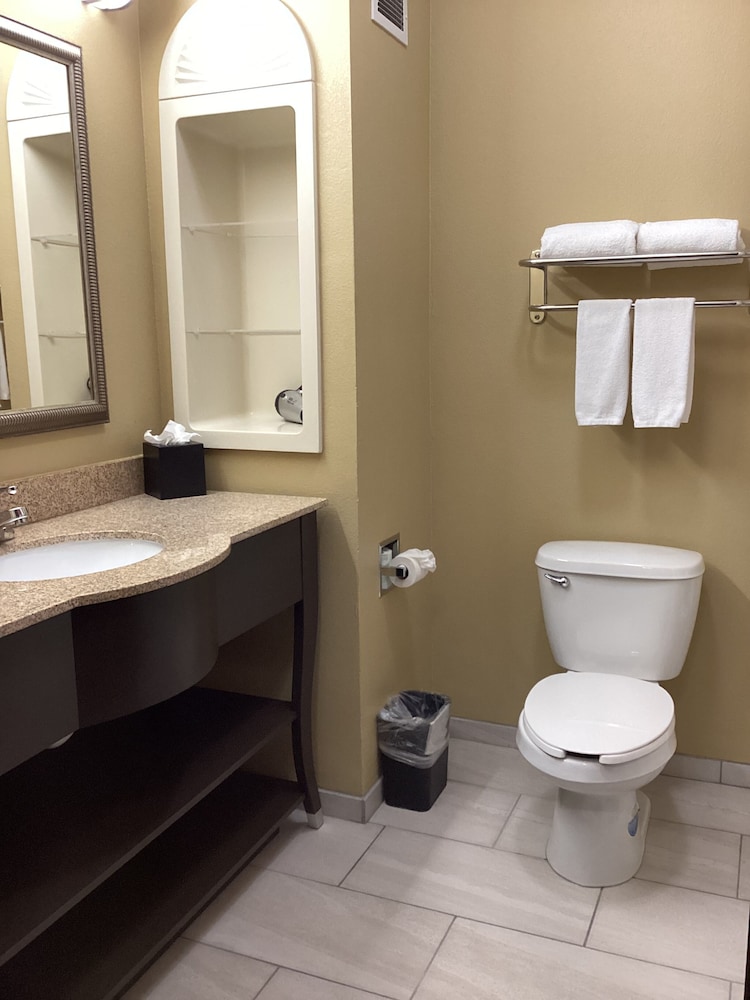 holiday inn express andsuites snyder by ihg