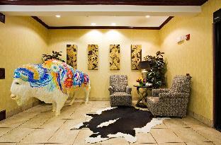 holiday inn express andsuites snyder by ihg