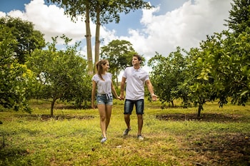 hacienda uxmal plantation and museum