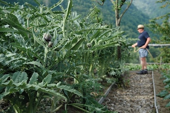 laqua countryside