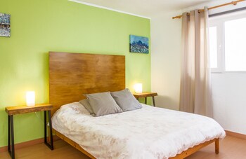 the tree house hostel