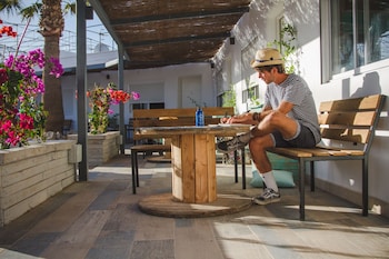 the tree house hostel