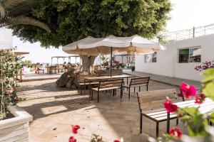 the tree house hostel