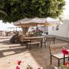 the tree house hostel