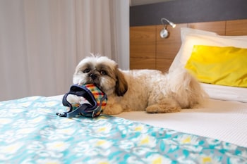 quality hotel jundiai