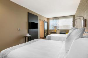 glo best western pooler savannah airport hotel