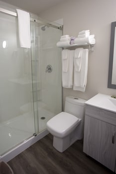 valemount vacation inn