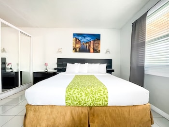 hollywood beach swan