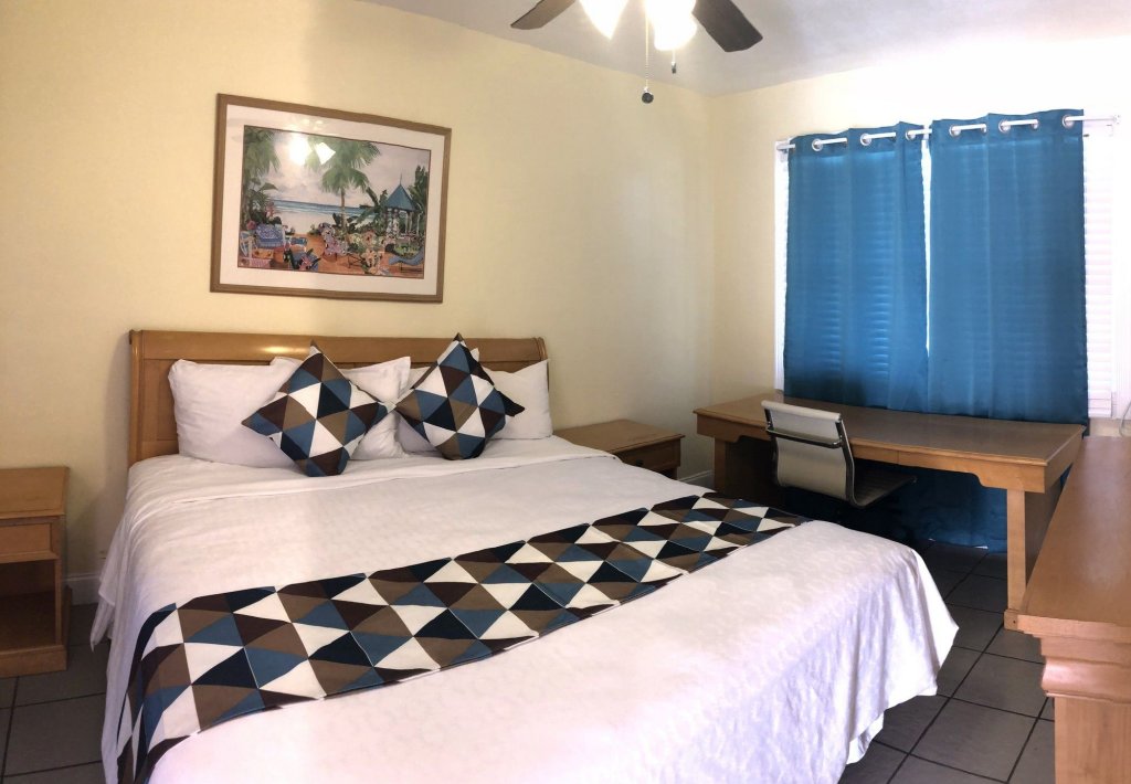 hollywood beach swan