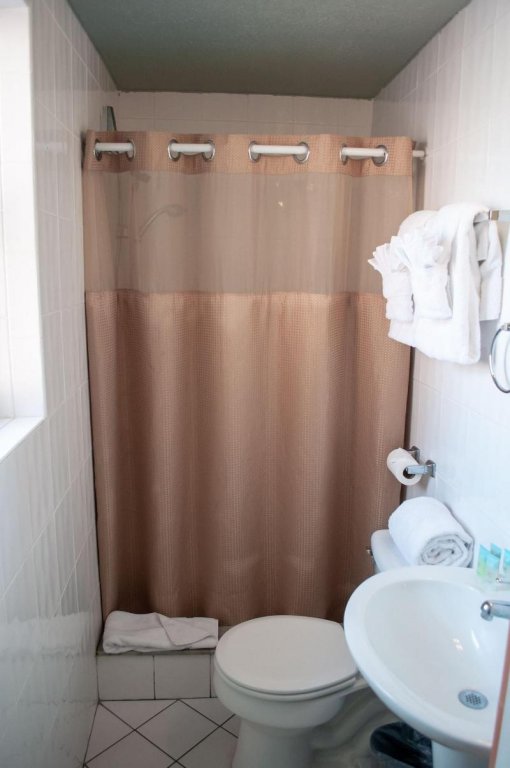 hollywood beach swan