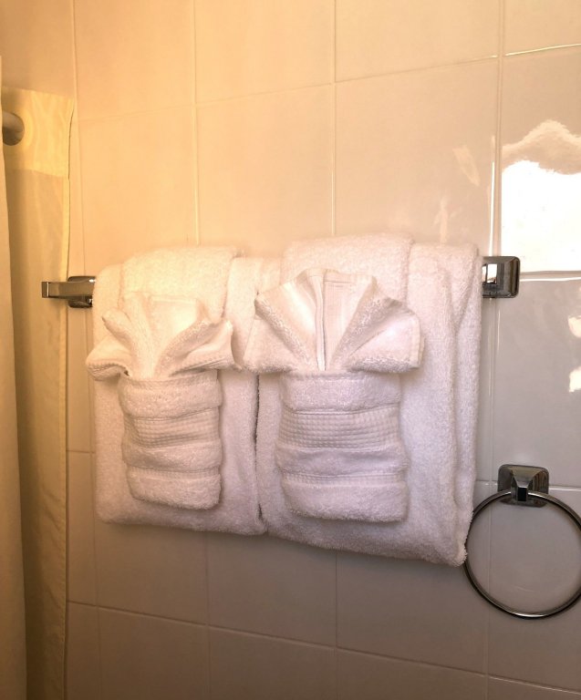 hollywood beach swan