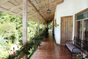 bosque de paz