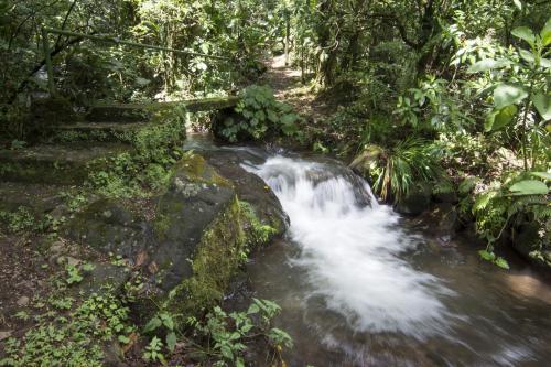 bosque de paz