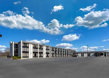 vettecity hotel