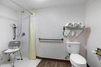 vettecity hotel