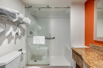 vettecity hotel