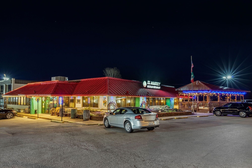 vettecity hotel