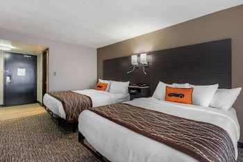 vettecity hotel
