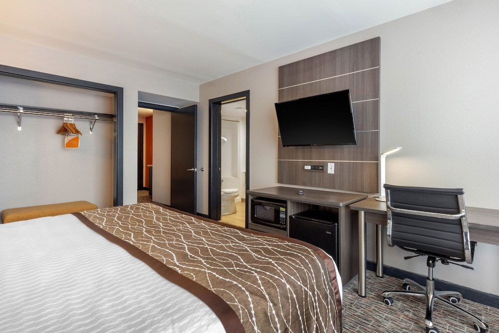 vettecity hotel