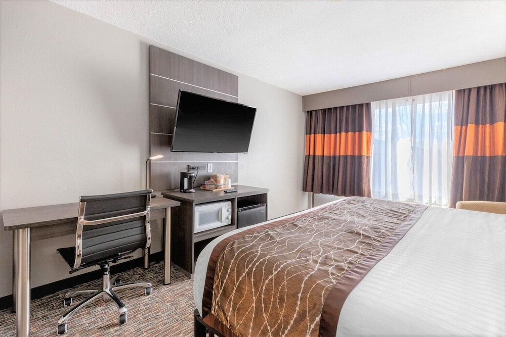 vettecity hotel