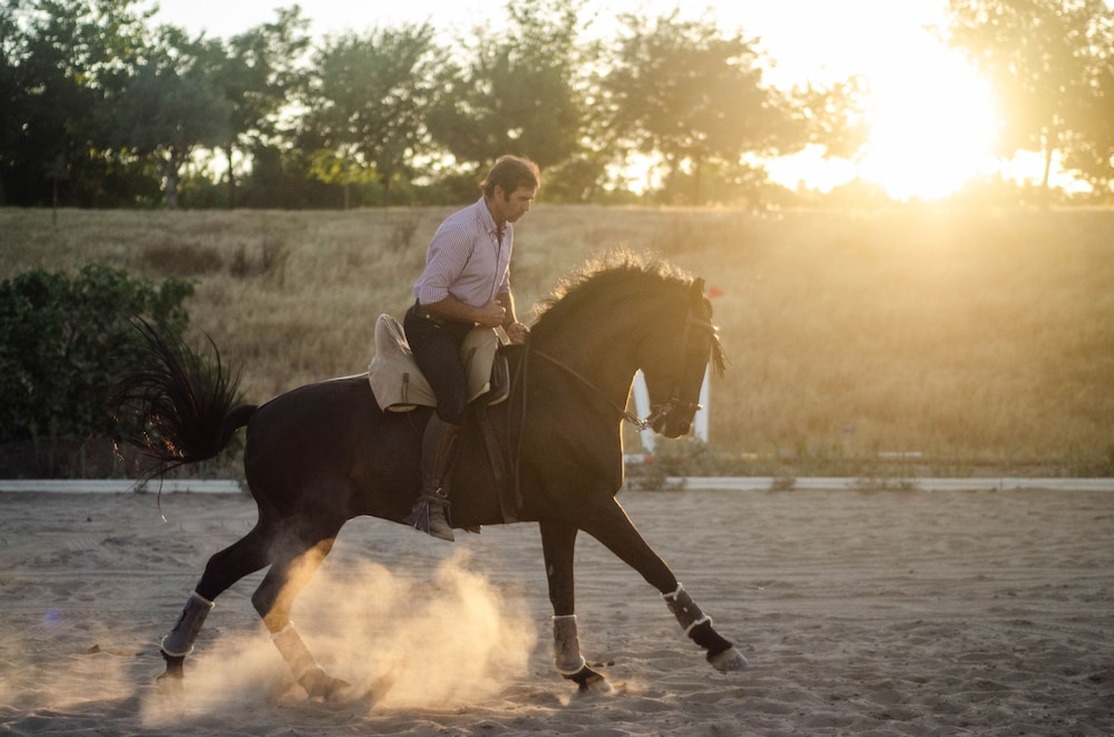 la dehesa de don pedro
