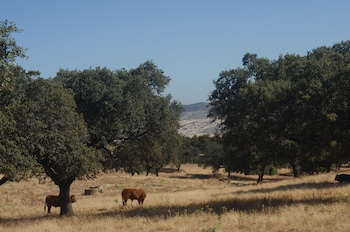 la dehesa de don pedro