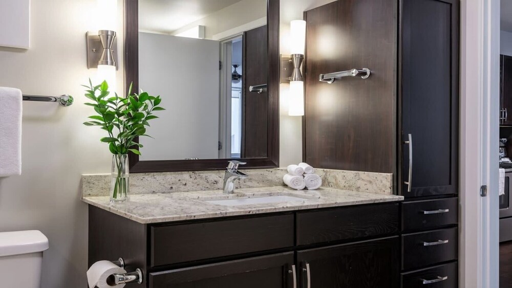 cozysuites gorgeous 1br 1ba apartment downtown