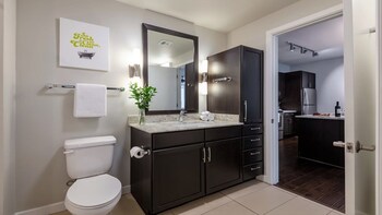 cozysuites gorgeous 1br 1ba apartment downtown