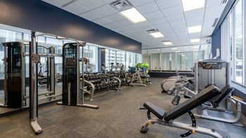 cozysuites gorgeous 1br 1ba apartment downtown