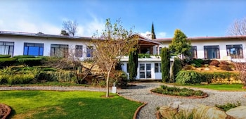 tree of life junoon in the hills kumaon