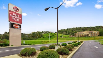 best western plus louisa