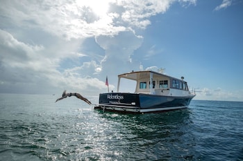 tower at the boca raton