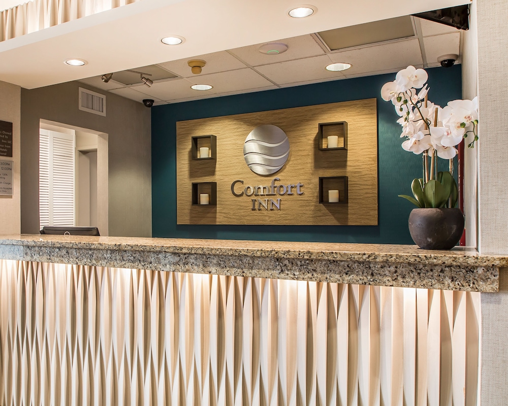 comfort inn south springfield
