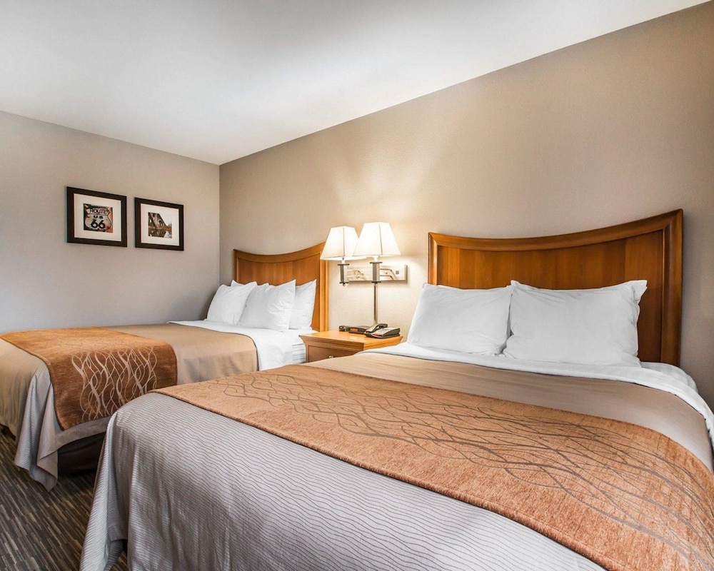 comfort inn south springfield