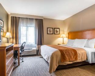comfort inn south springfield