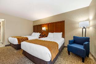 comfort inn south springfield