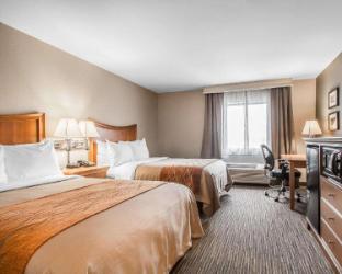 comfort inn south springfield