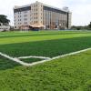 stay plus kingstone executive apartment