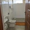 stay plus kingstone executive apartment