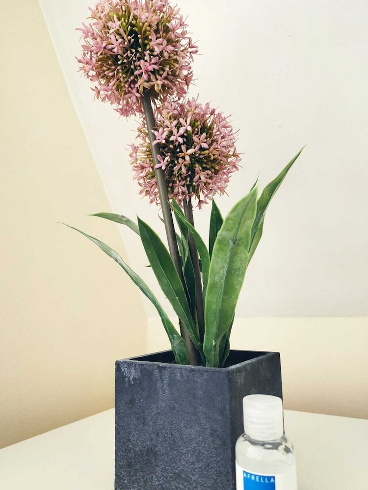 abbeyfield guesthouse