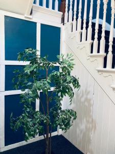 abbeyfield guesthouse