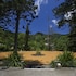 terra nostra garden hotel