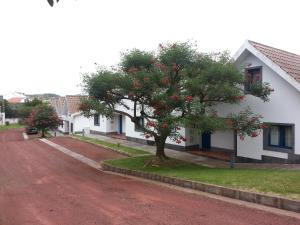 apartamentos turisticos nossa senhora da estrela