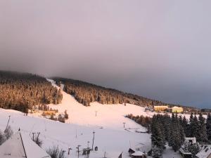 chalet and apart fichtelberger blick