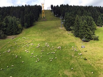 oberwiesenthal