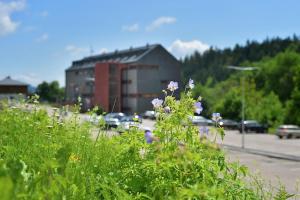 omnia hotel relax and wellness