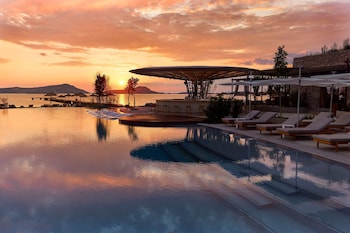 w costa navarino adults only