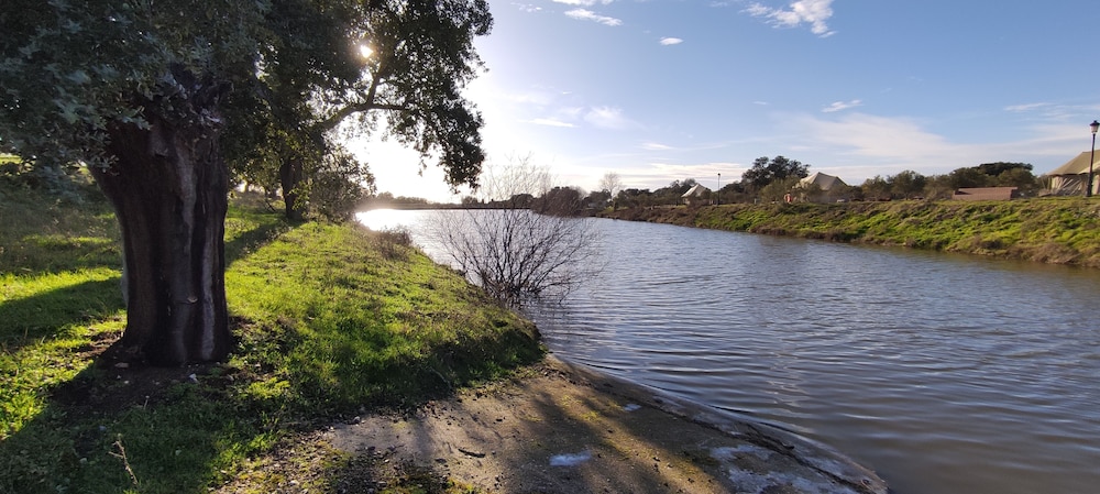 el toril glamping experience